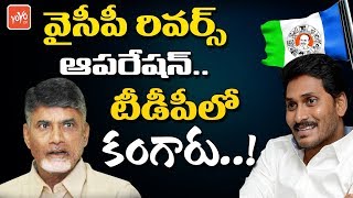 YCP Leaders Reverse Game Plan Against TDP MLA's \u0026 MP's | YS Jagan | Chandrababu Naidu | AP | YOYO TV