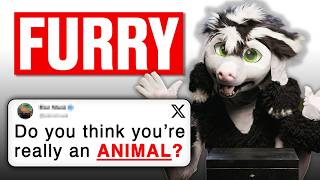 The Truth About Furries: Furry Answers Public's Questions | Honesty Box