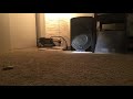 alto tx8 sound demo with 12inch subwoofer.