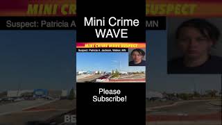 Mini Crime Wave Suspect