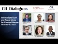 CIL Dialogues : International Law and Reparations for Colonial Harms: What Way Forward?