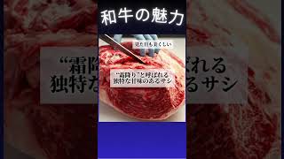 【和牛の魅力】紹介【24h無人ホルモン販売所豊橋弥生店】 #豊橋市 #豊橋テイクアウト #豊橋 #豊橋グルメ #ムジホル豊橋 #豊橋ランチ #豊橋ディナー #豊橋焼き肉 #ムジホル #豊橋ホルモン