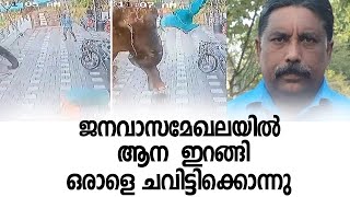 ജനവാസമേഖലയിൽ ആന  ഇറങ്ങി ഒരാളെ ചവിട്ടിക്കൊന്നു