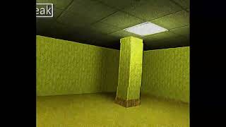 Leaked Footage