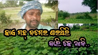 ବାଡି ରେ ଆଜି କଉ ଗଛ ଲଗାଇଲି !! Today New Vlog !! #sambalpurivlogger #vlogger #vlog #my_first_vlog