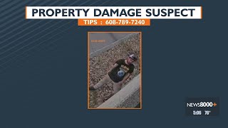 Property damage suspect