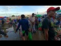 Ever Seen Largest Fish Distribution in Cambodia - Fish Market Scenes and People Activities