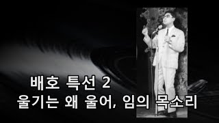 배호 특선 2~'울기는 왜 울어', '임의 목소리'