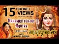 MAHAMRITYUNJAY MANTRA 108 TIMES | ANURADHA PAUDWAL |  MEANING | SUBTITLES |