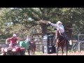 Team Roping Dummy