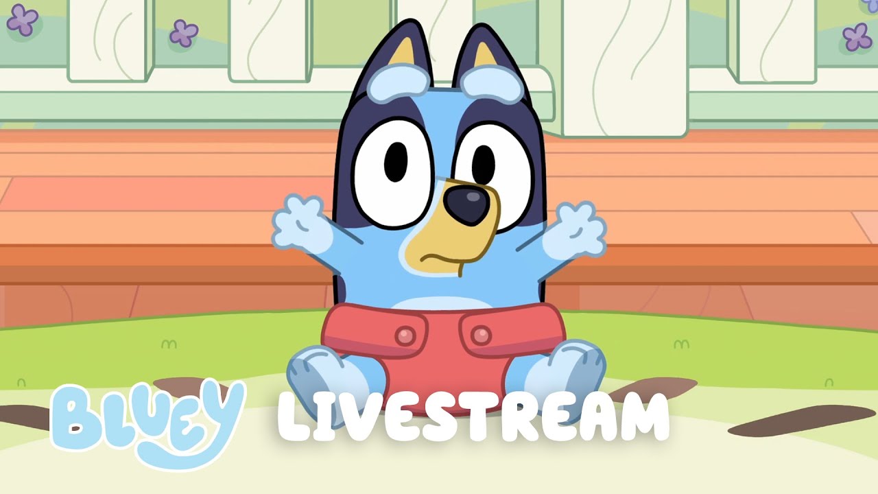 🔴LIVE: BLUEY FULL EPISODES LIVESTREAM - YouTube