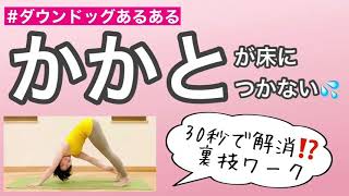 【ダウンドッグあるある】踵が床につかない！を30秒で解消⁉️裏技ワーク