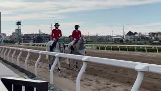 2022.7.20 浦和🐎11R 第5回 プラチナカップ誘導馬　その2