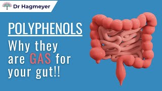 Polyphenols-  The Best Kept Secret For Gut Health- How They Boost Your Digestive Health