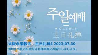 「通訳」2023.07.30 マタイによる福音書28: 1 - 10 ガリラヤに行きなさい 大阪永楽教会聖オンライン礼拝 오사카 영락교회 주일 온라인 예배