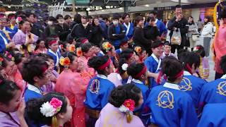 【静大生必見 ・歓喜の瞬間】2018「浜松がんこ祭」お茶ノ子祭々・学生優勝報告そして「浜よさ大賞」 必勝祈願