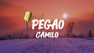 🎵Camilo - Pegao (Letra/Lyrics)