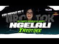 DJ NGELALI NROTOK  BAHAN CEK MU