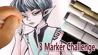 3 Marker Challenge - with Copic Markers