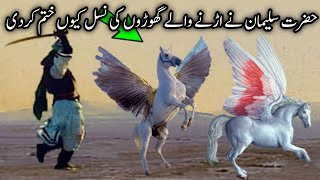 Why did Hazrat Sulaiman destroy the flying horses? | Hazrat Sulaiman ke udne wale ghodon ka waqia