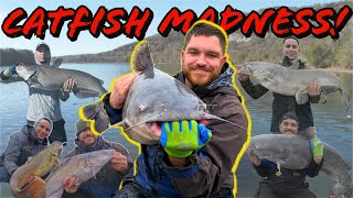 We Missed the Tournament… Then Caught Monster Catfish at Wheeler Lake! (Catfish Madness!)