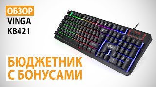 Обзор клавиатуры Vinga KB421: Бюджетник с бонусами