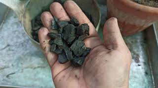 Charcoal Fertilizer | Soil Conditioner | Wood Charcoal | Usage In Gardening | Koyla | Garden Rooftop