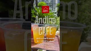 🇵🇪Andino CAFE🇵🇪@市川市観賞植物園