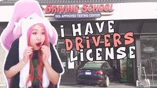 Driver's License Story - HAchubby Highlight