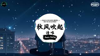 秋风吹起 (抖音DJ版) - 清唯『总是莫名的难过 总是忽然的失落，如果风知道我依然在想你 它会不会笑我。』♪ || 抖音最热门的背景音乐 | 抖音 | TikTok ♪