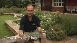 Choosing the right plant supports