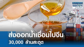 ส่งออกน้ำเชื่อมไปจีน 30,000 ล้านสะดุด | BUSINESS WATCH | 15-01-68