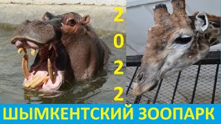 Шымкентский зоопарк июнь 2022