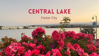 Central Lake, Foster City, California | സെൻട്രൽ തടാകം, ഫോസ്റ്റർ സിറ്റി, കാലിഫോർണിയ | Evening view