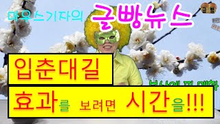 글빵뉴스(geulbbang)입춘첩, 절입시각 저녁 6시 03분!!