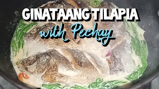 GINATAANG TILAPIA WITH PECHAY RECIPE! (TILAPIA COOKED IN COCONUT MILK) #lutongbahay #filipinorecipe