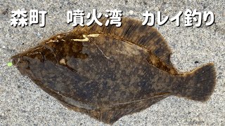 【2020年北海道噴火湾森町釣り】アイナメ•カレイ•ガヤ釣り