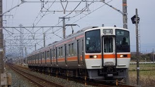 JR東海 311系G7編成 普通・浜松行き 東海道本線