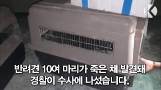 애견호텔에서 반려견 10마리 죽어..