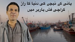 Karachi fish harbour fish price update 18-1-25