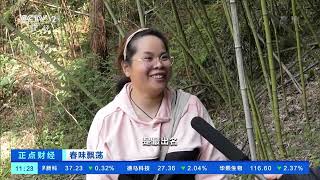 [正点财经]春味飘荡 安徽黄山：茶笋干 土法制作味道鲜|CCTV财经