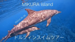 2023.05.26～28 御蔵島ドルフィンスイムツアー(ロングVer)