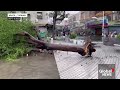 typhoon haikui storm leaves trail of destruction across philippines taiwan