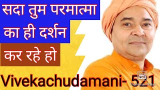 तुम सदा परमात्मा का ही दर्शन कर रहे हो ll You are always perceiving God alone l Vivekachudamani- 521