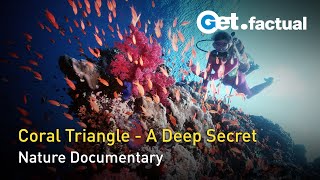 Nature's Greatest Secret - The Coral Triangle | Full Documentary Episode 1