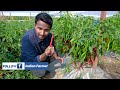 1 अप्रैल के पहले देखो ये वीडियो वरना 100% पछताओगे🔥🔥amazing modern farming indian farmer