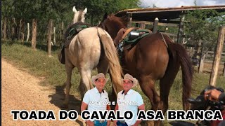 Alon Zôa e Ary Zôa - Feat Toada do Cavalo Asa Branca.