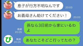 【LINE】嫁から突然のSOS「息子が行方不明なんです！」→3日前から家にいると伝えると、嫁が慌て始めて…【スカッと修羅場】