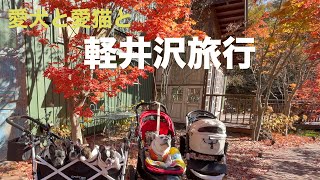 愛犬 と 愛猫と 紅葉 軽井沢 旅行 ガフロカフェ タリアセン 第一部【French_bulldog】フレンチブルドッグ