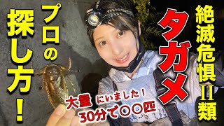 タガメ採集のコツをプロに教えてもらった結果！こんな場所にいます！